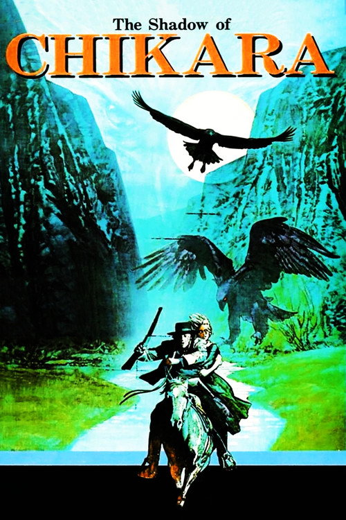 The Shadow of Chikara (1977) movie poster