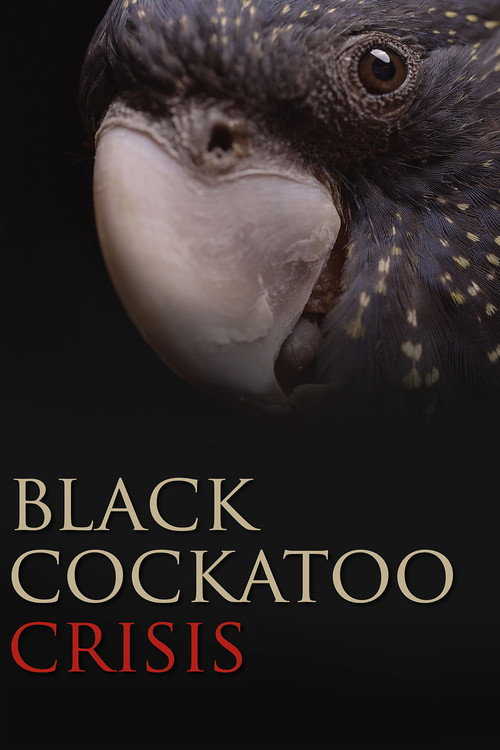 Black Cockatoo Crisis (2022) movie poster