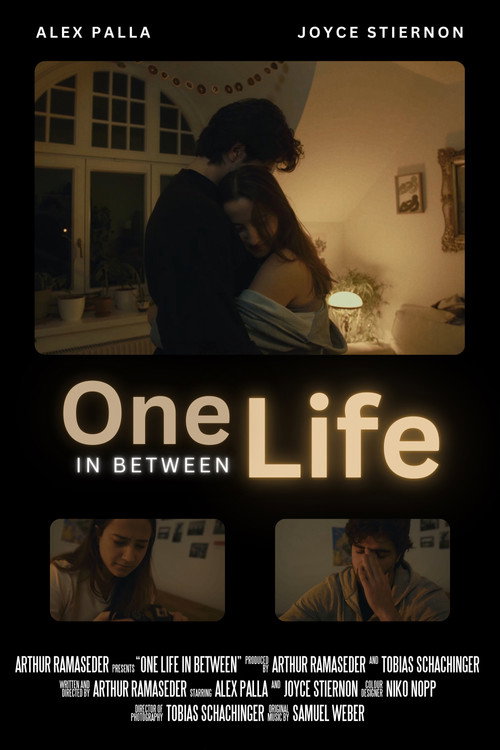 Ein Leben dazwischen movie poster