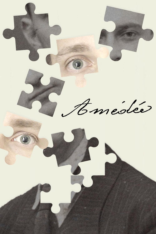 Amédée (2024) movie poster