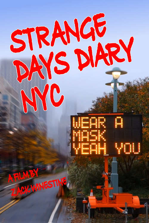 Strange Days Diary NYC (2024) movie poster