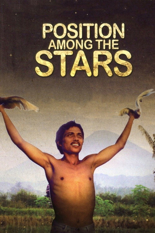 Position Among the Stars (2011) movie poster
