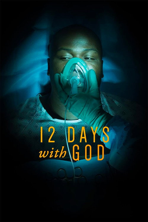 12 Days with God (2019) movie poster