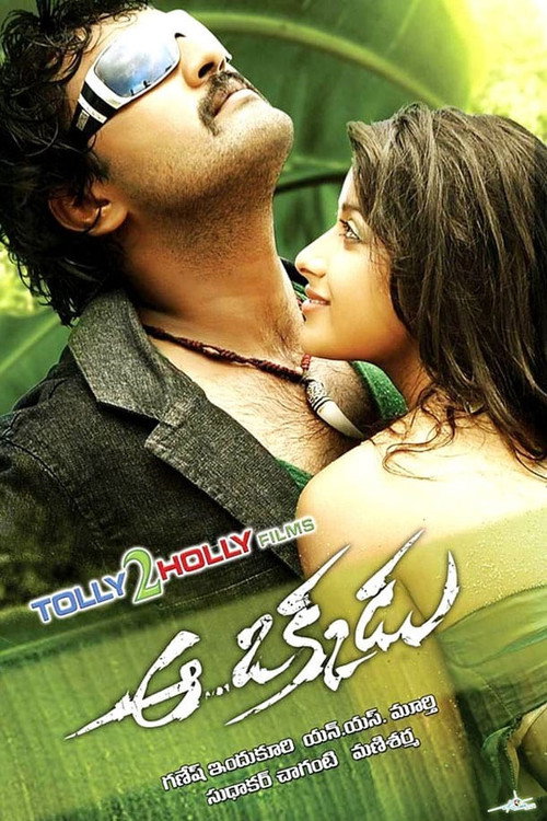 Aa Okkadu (2009) movie poster