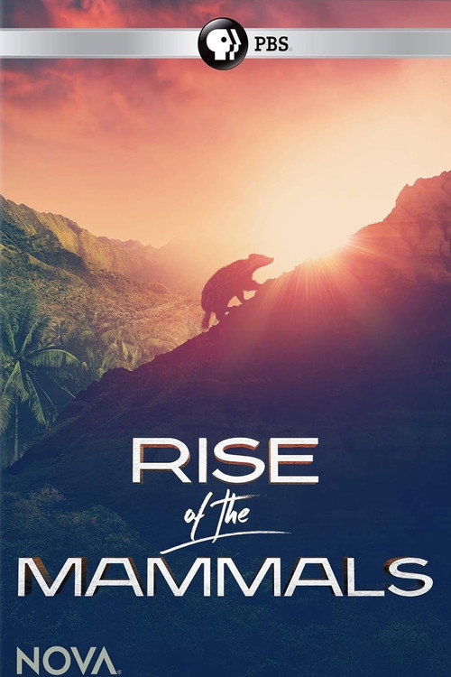 Rise of the Mammals (2019) movie poster