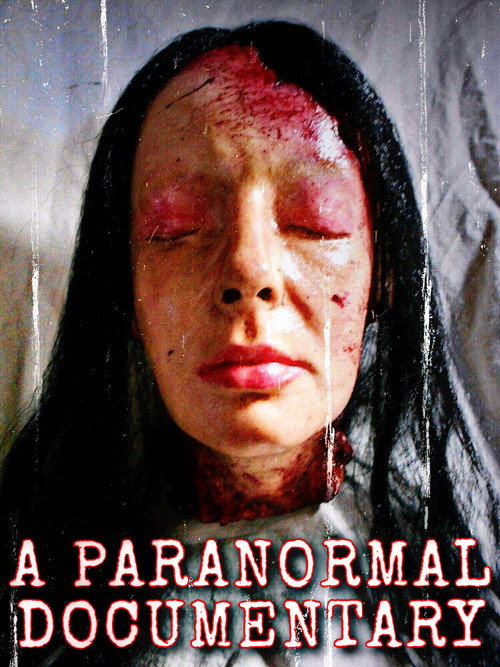 A Paranormal Documentary (2020) movie poster