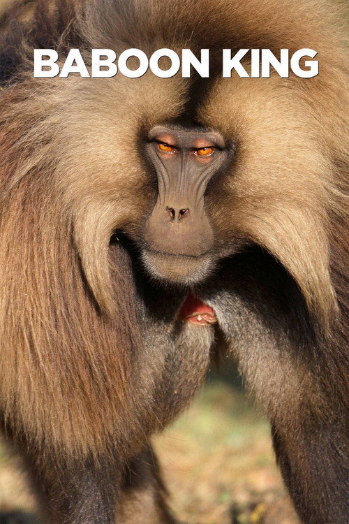 Baboon King (2017) movie poster