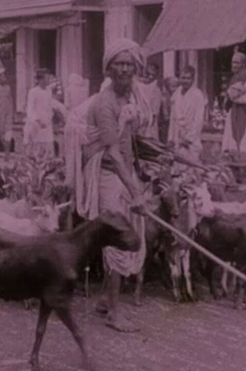 Picturesque India or, In and About Calcutta (1913) movie poster