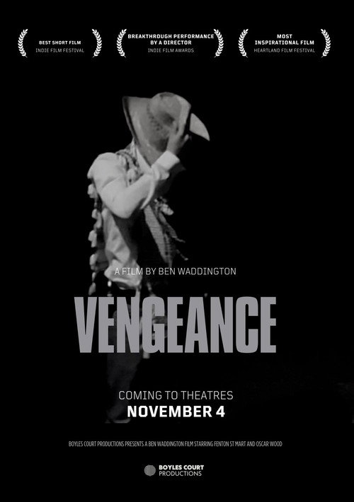Vengeance (2023) movie poster