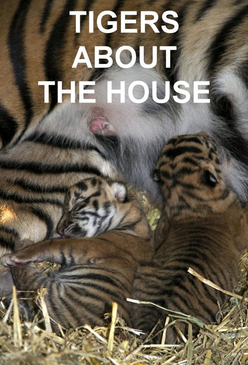 Tigers About the House (2014) TV show poster
