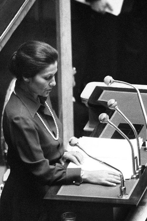 Simone Veil, une loi au nom des femmes (2010) movie poster