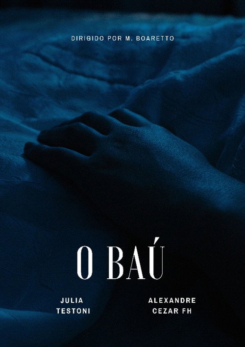 O Baú (2025) movie poster