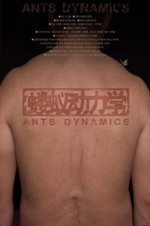 Ants Dynamics (2020) movie poster