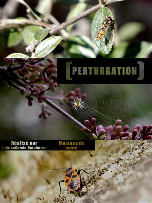 Perturbation (2020) movie poster