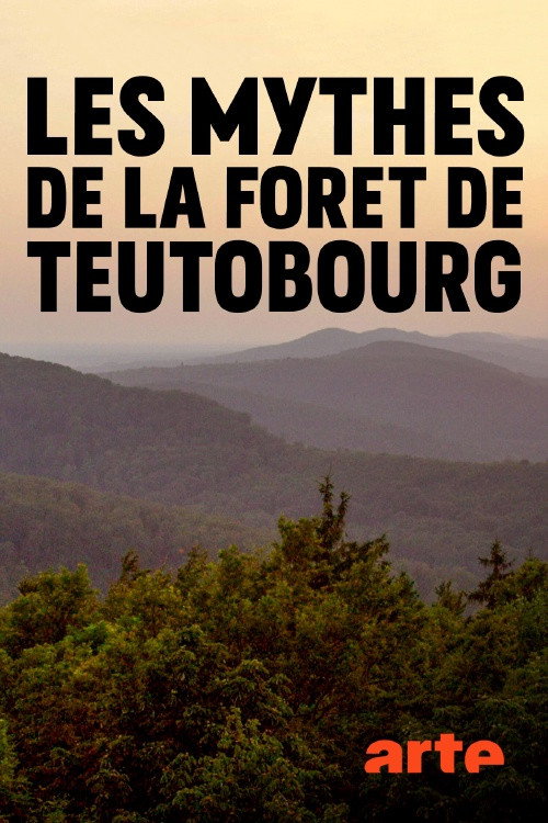 Secret Teutoburg Forest (2020) movie poster