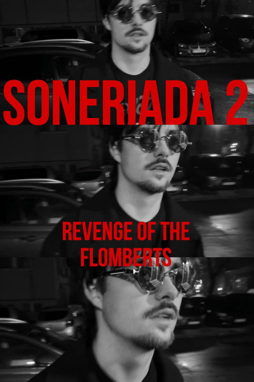 Soneriada 2: Revenge of the Flomberts (2025) movie poster