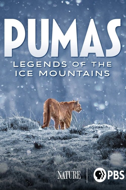 Pumas: Legends of the Ice Mountains (2021) movie poster