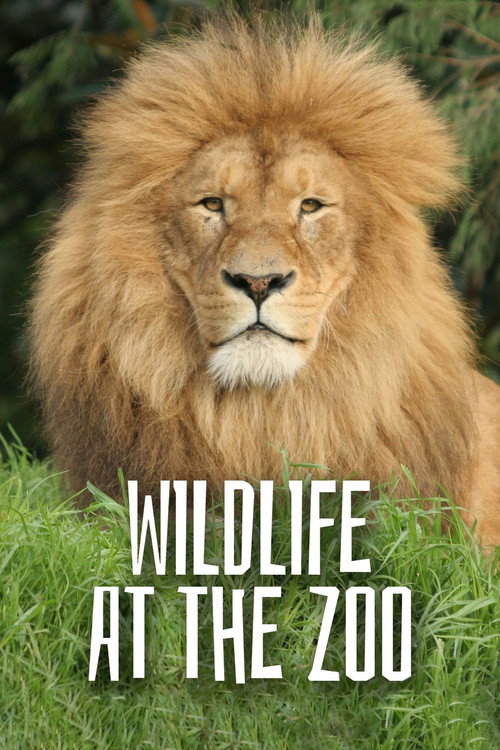 Wild Life At The Zoo (2012) TV show poster