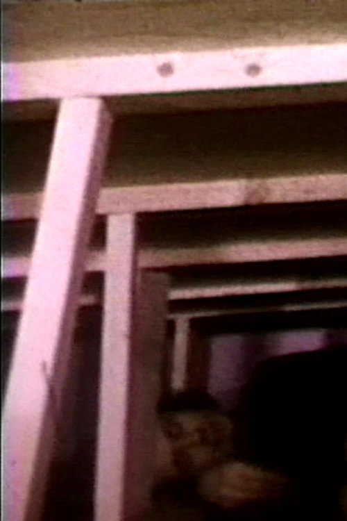 Seedbed (1972) movie poster