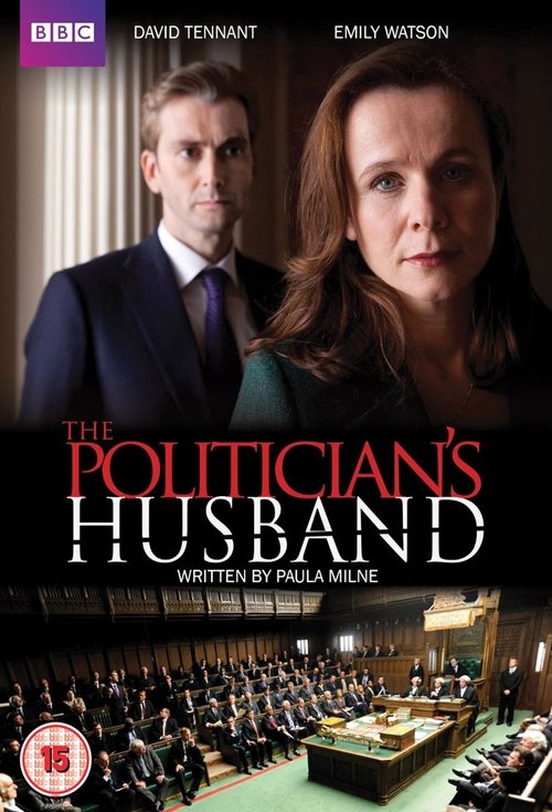 The Politician's Husband (2013) TV show poster