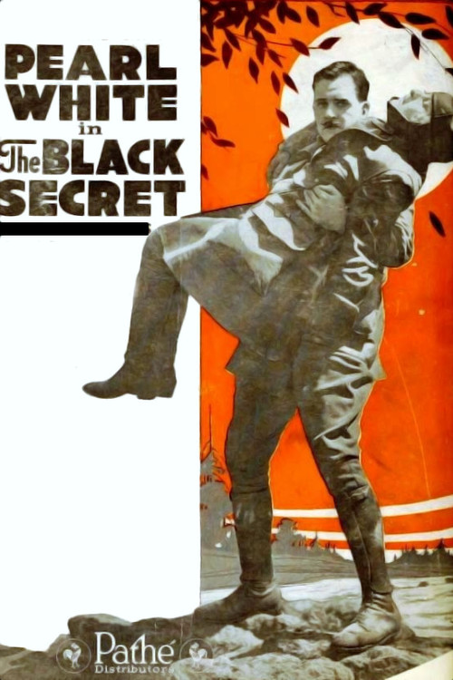 The Black Secret (1919) movie poster