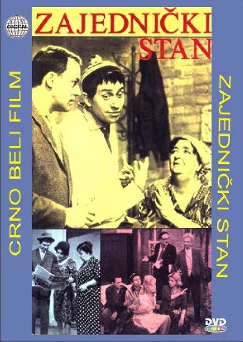 Shared Apartment (1960) movie poster