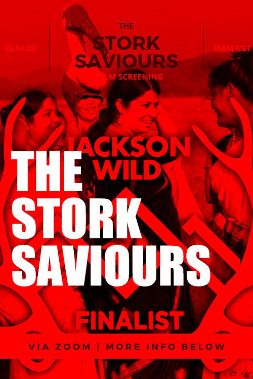 The Stork Saviours (2019) movie poster