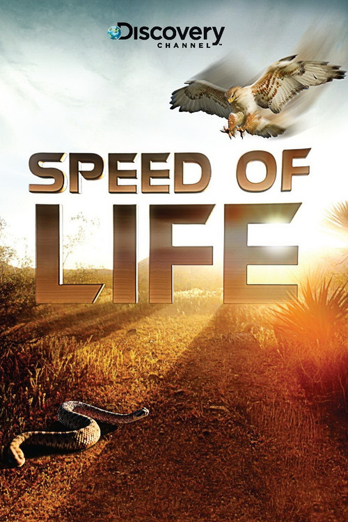 Speed of Life (2010) TV show poster