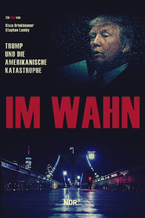 In Delusion: Trump and the American Catastrophe (2020) movie poster