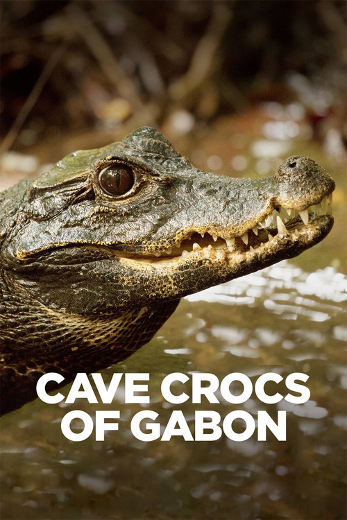 Cave Crocs of Gabon (2018) movie poster