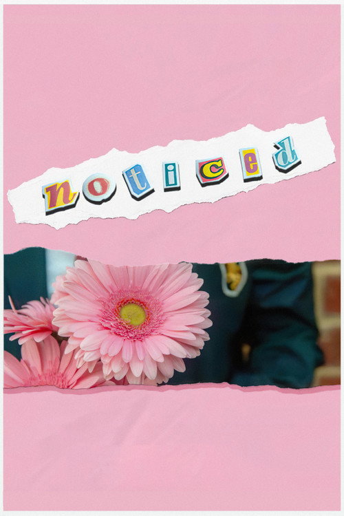Noticed (2025) movie poster