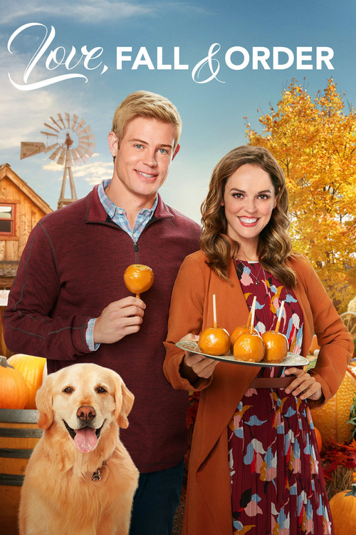 Love, Fall & Order (2019) movie poster