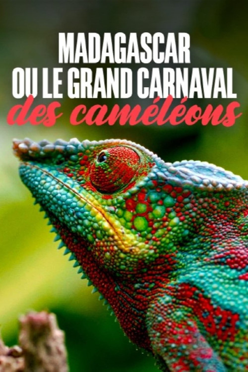 Madagascar or the Great Carnival of the Chameleons (2024) movie poster