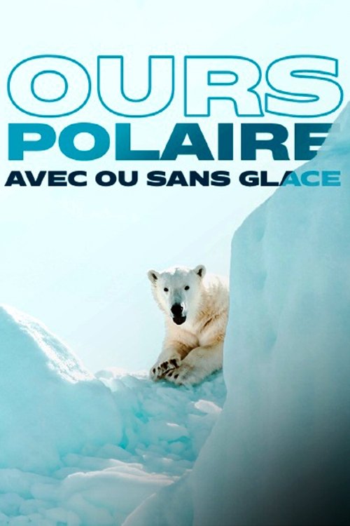 Face to Face with the Polar Bear (2005) movie poster