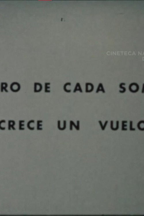 Dentro de Cada Sombra Crece un Vuelo movie poster