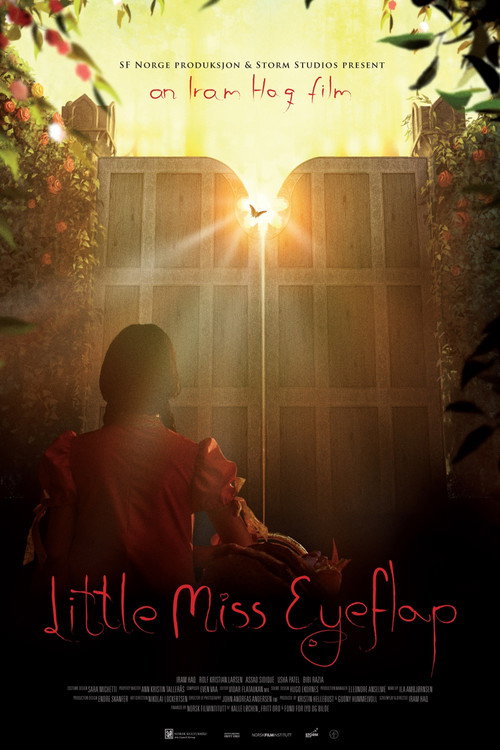 Little Miss Eyeflap (2009) movie poster