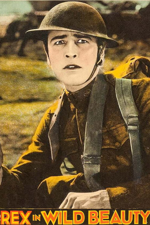 Wild Beauty (1927) movie poster