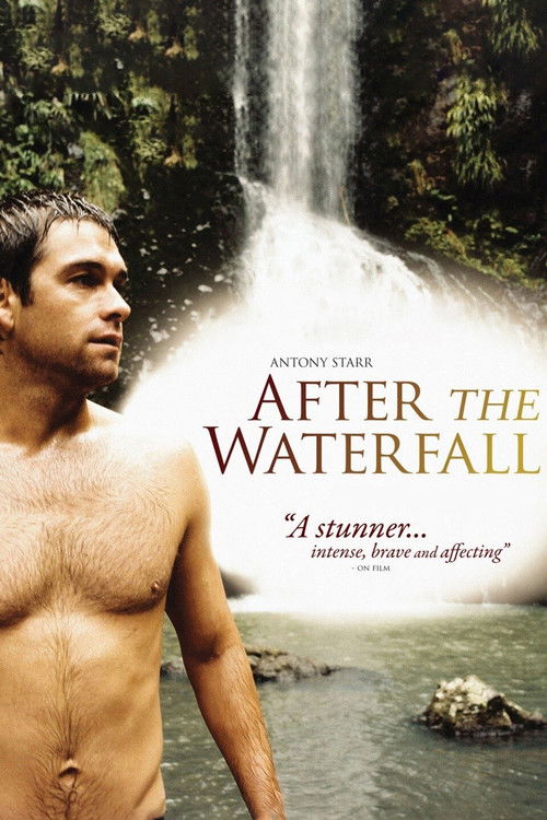 After the Waterfall (2010) movie poster