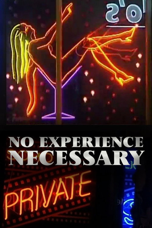 No Experience Necessary (2000) movie poster