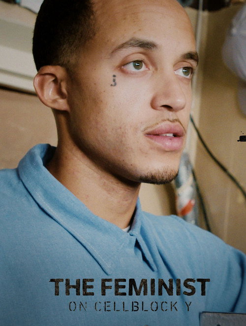 The Feminist on Cellblock Y (2018) movie poster