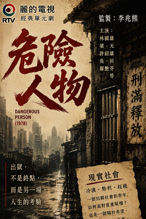 危險人物 (1978) TV show poster