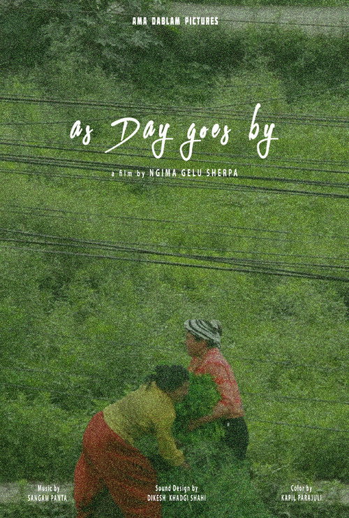 As Day Goes By (2024) movie poster