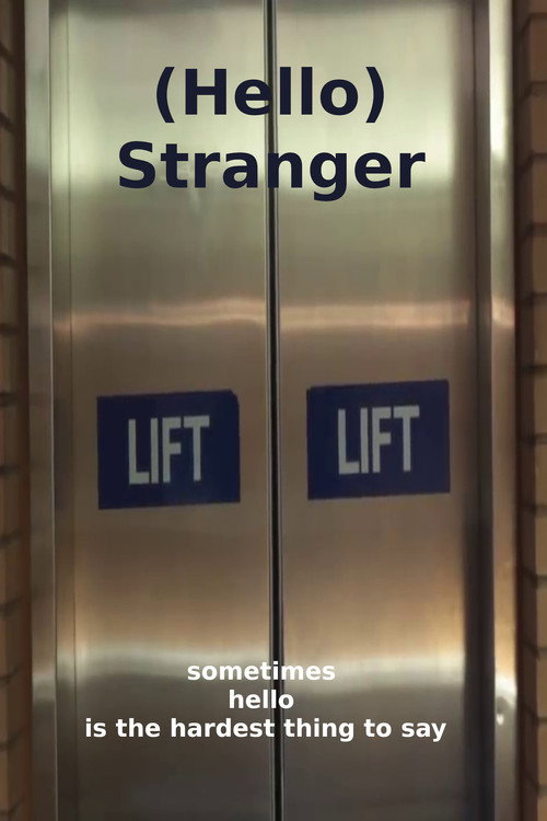 (Hello) Stranger (2014) movie poster