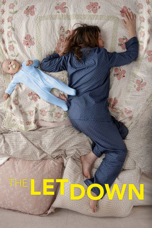 The Letdown (2016) TV show poster