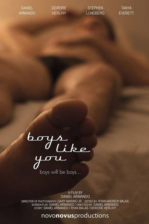Boys Like You (2011) movie poster
