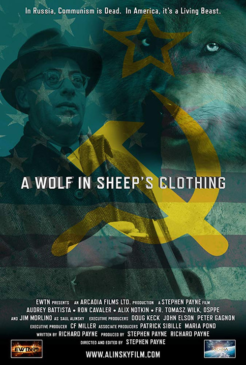 A Wolf in Sheep's Clothing (2016) movie poster
