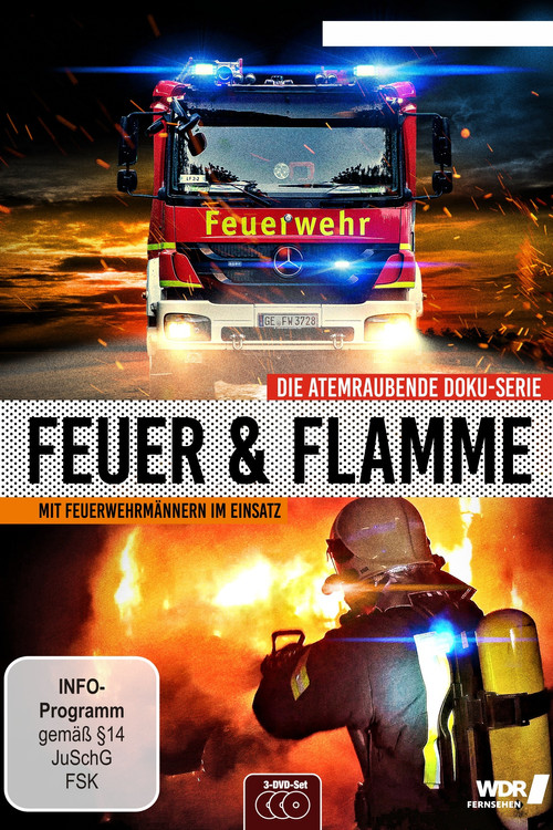 Feuer & Flamme (2017) TV show poster
