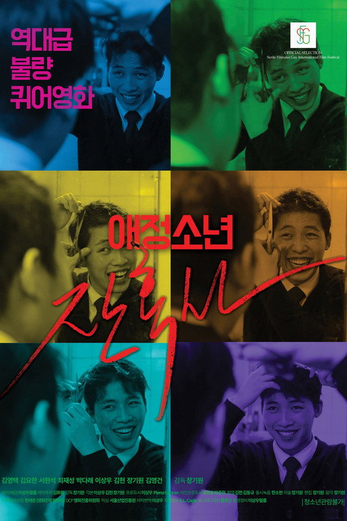 The Chronicles of a Boy: Homophobia (2017) movie poster