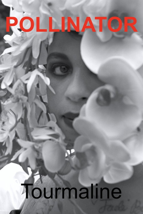 Pollinator (2023) movie poster