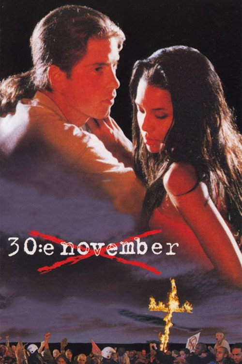 November 30th (1995) movie poster